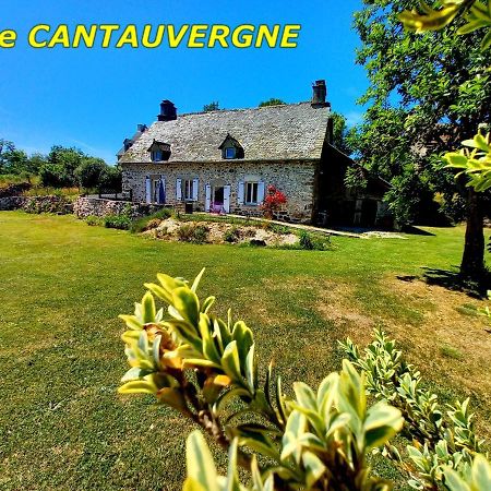 Gite Cantauvergne Villa Vebret Buitenkant foto