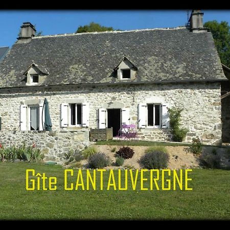 Gite Cantauvergne Villa Vebret Buitenkant foto