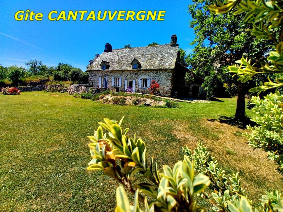 Gite Cantauvergne Vebret Buitenkant foto