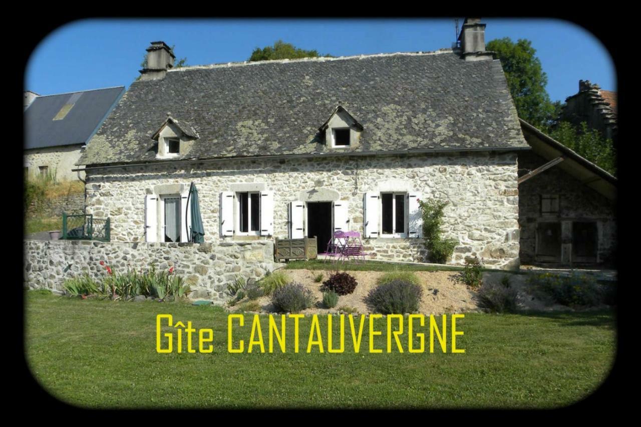 Gite Cantauvergne Villa Vebret Buitenkant foto