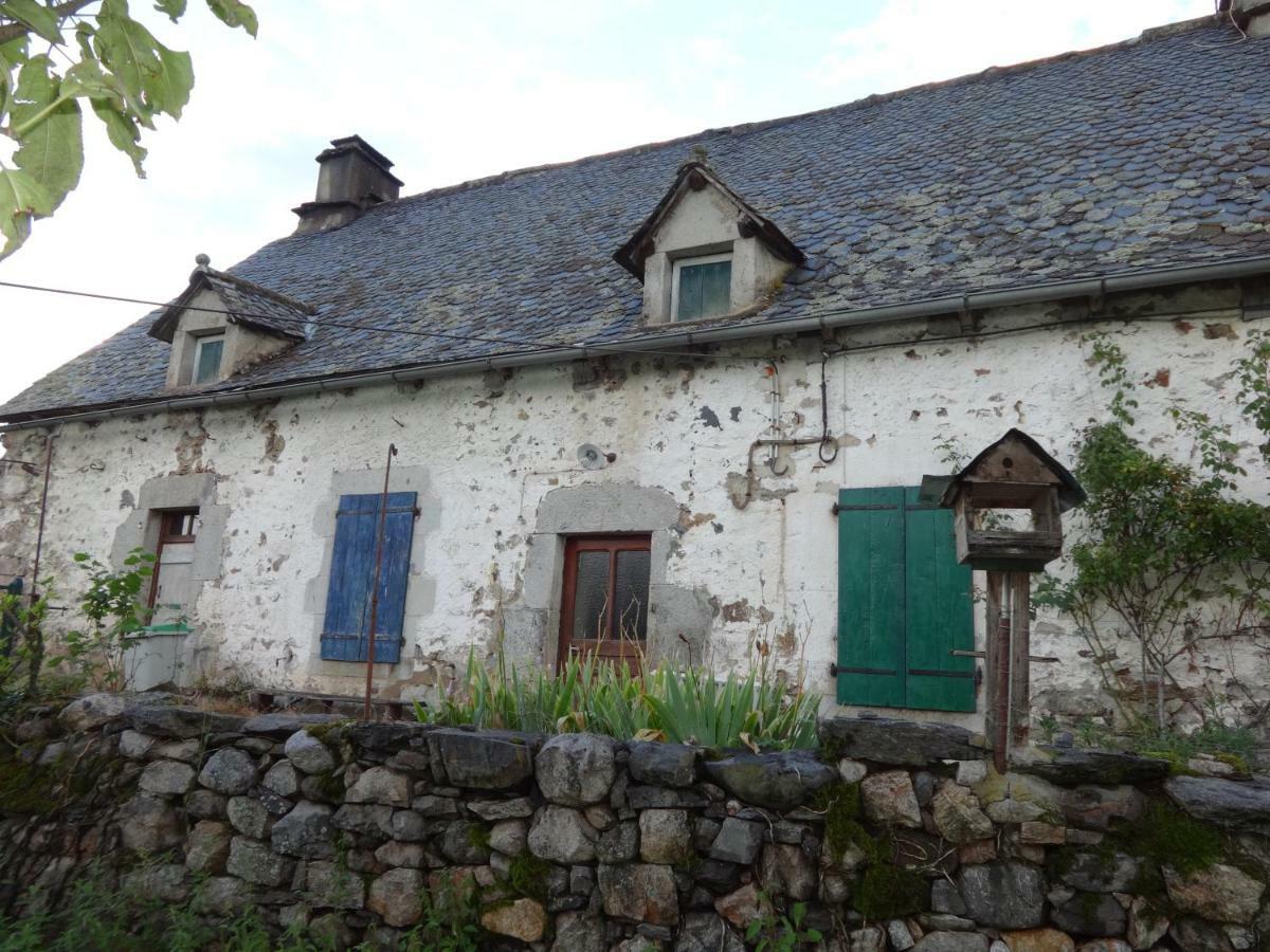 Gite Cantauvergne Villa Vebret Buitenkant foto