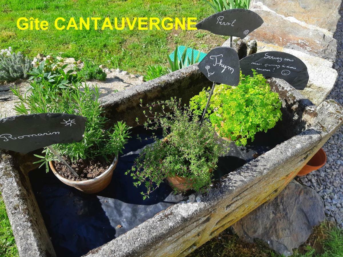 Gite Cantauvergne Villa Vebret Buitenkant foto